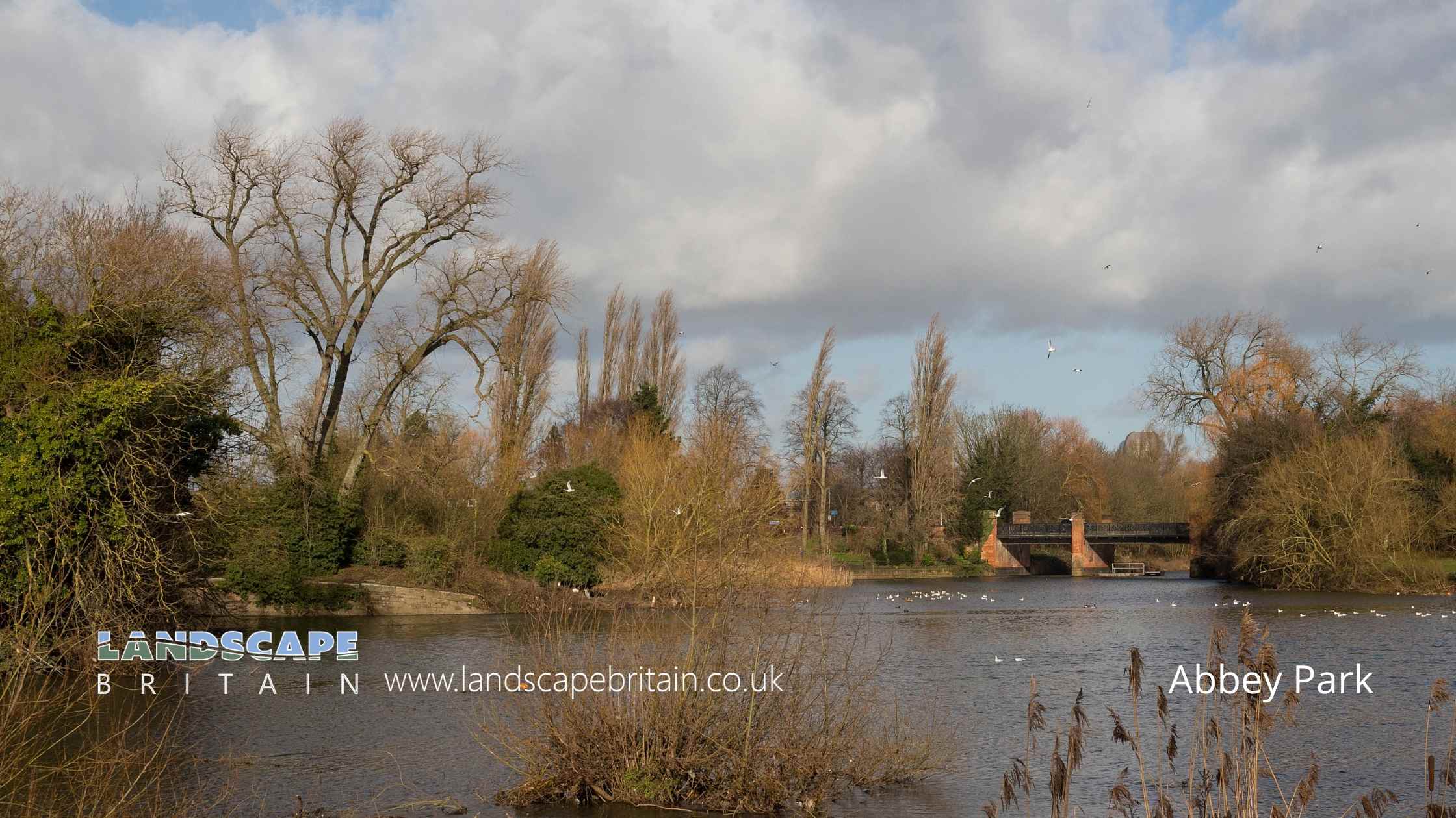 Abbey Park