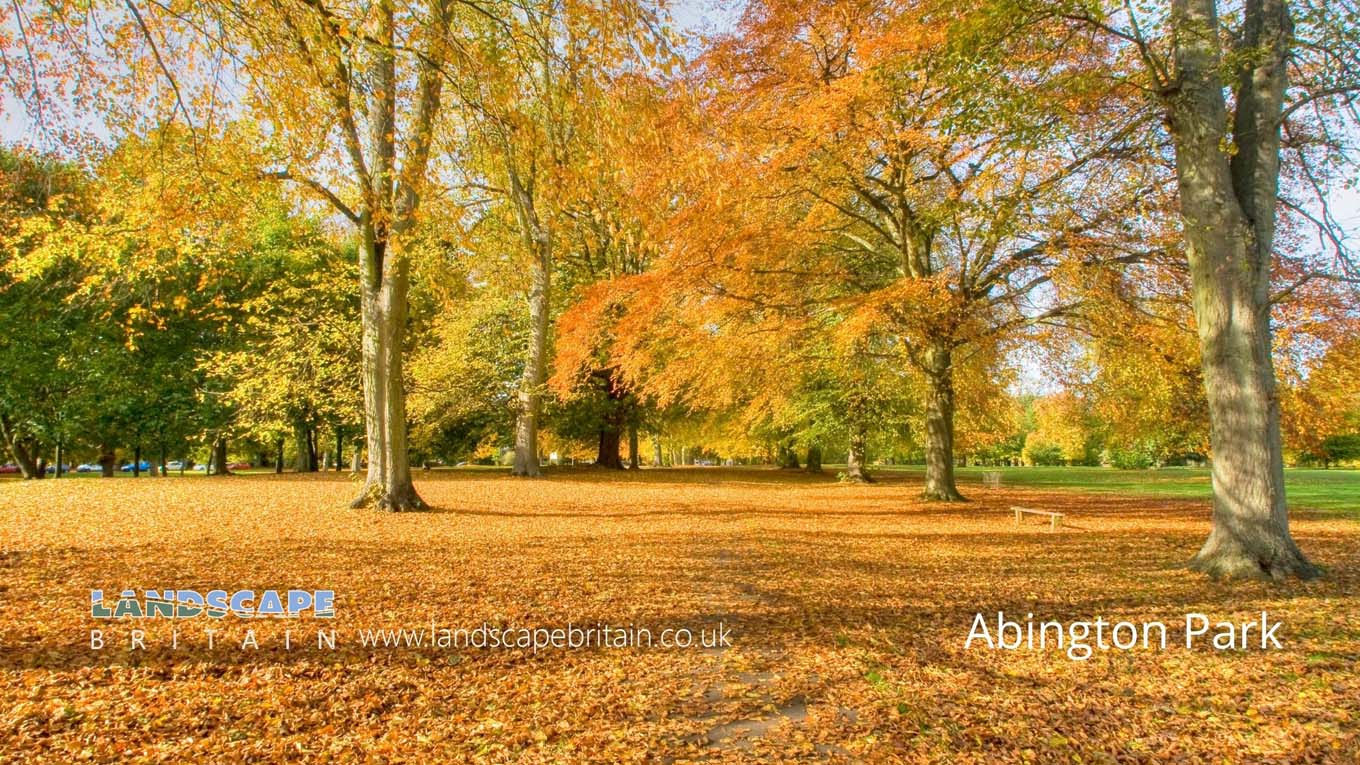 Abington Park