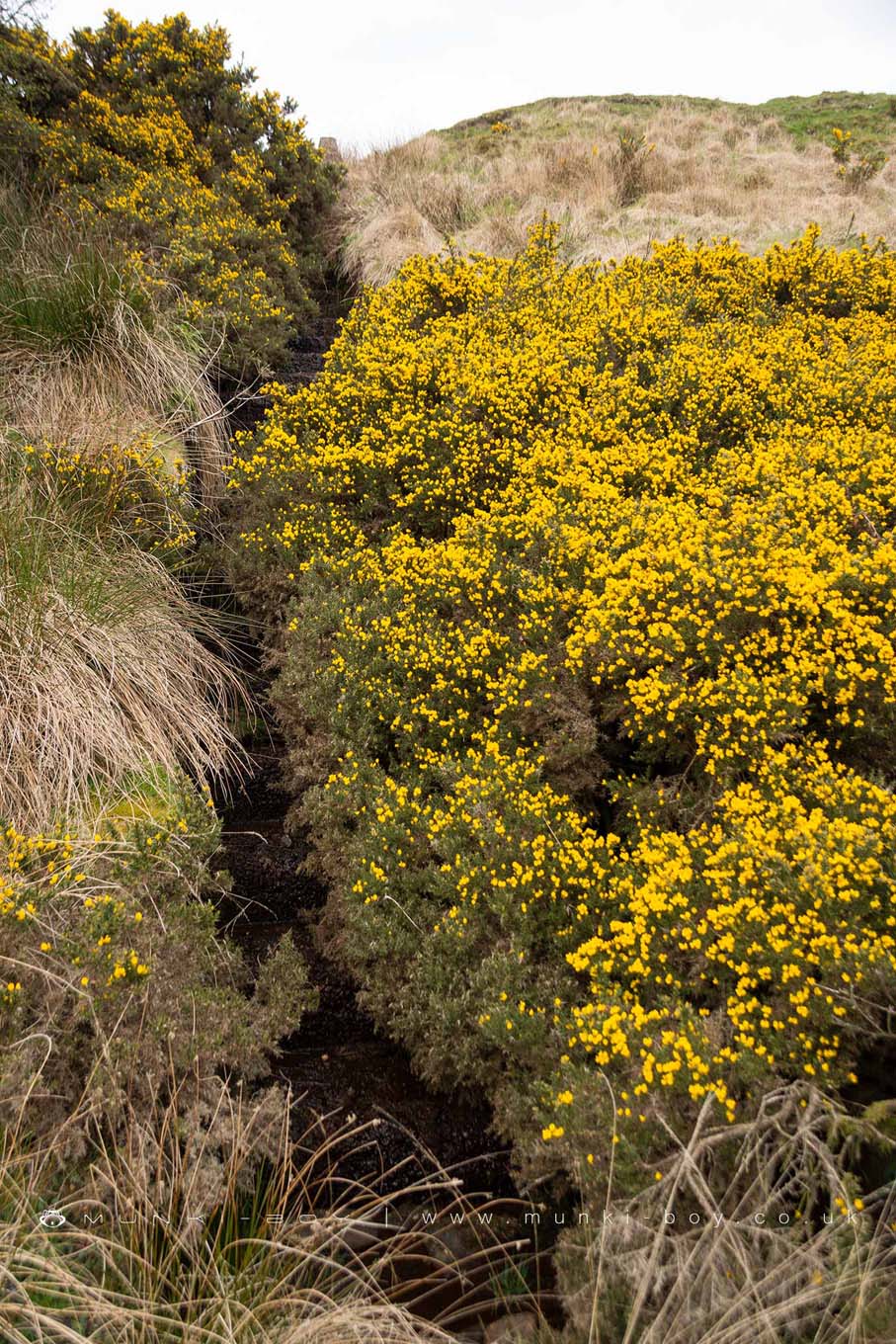 Aeration Cascade at Owshaw Clough