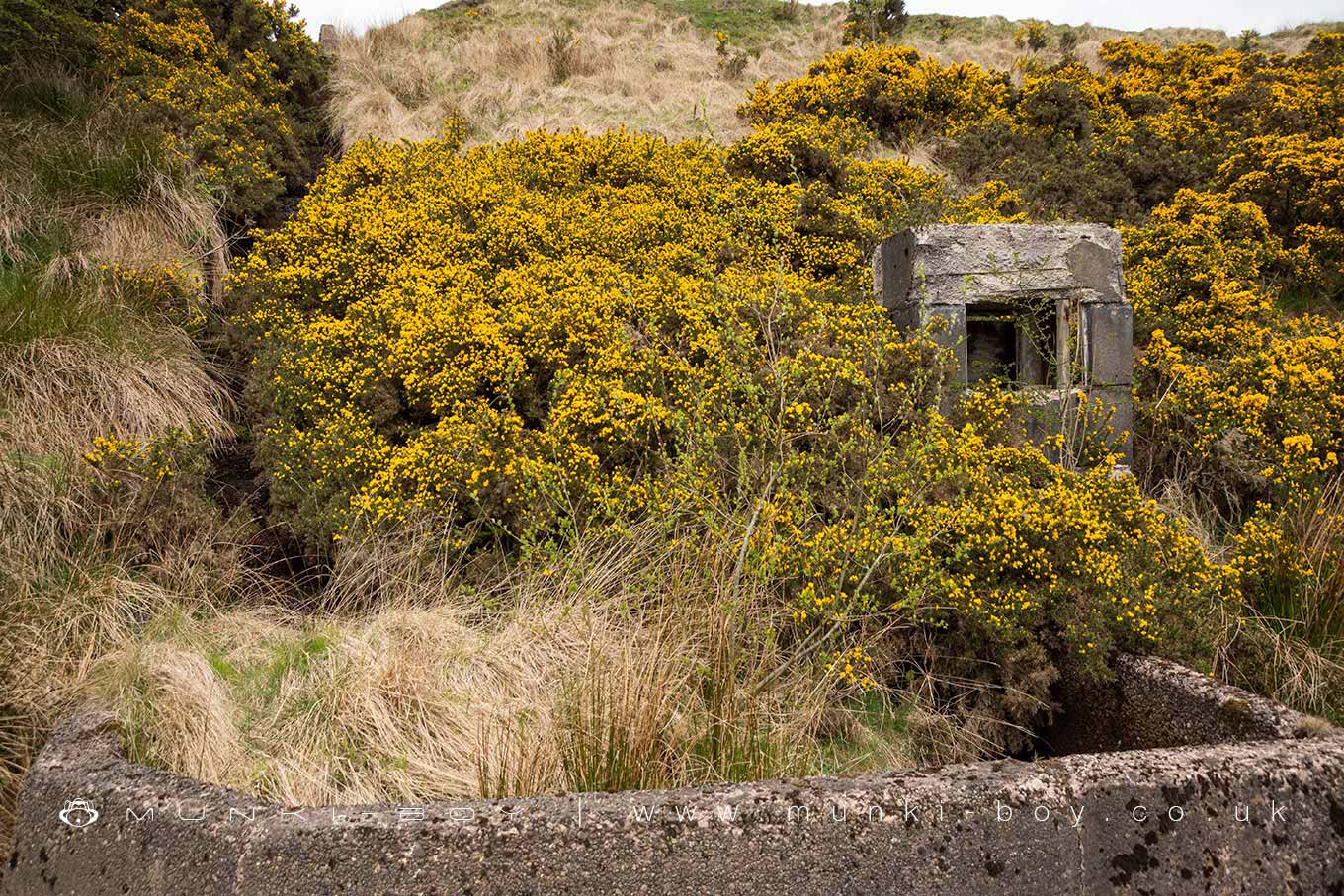 Aeration Cascade and Ruined Filtration Bed at Owshaw Clough