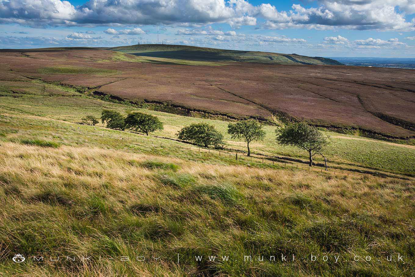 Anglezarke
