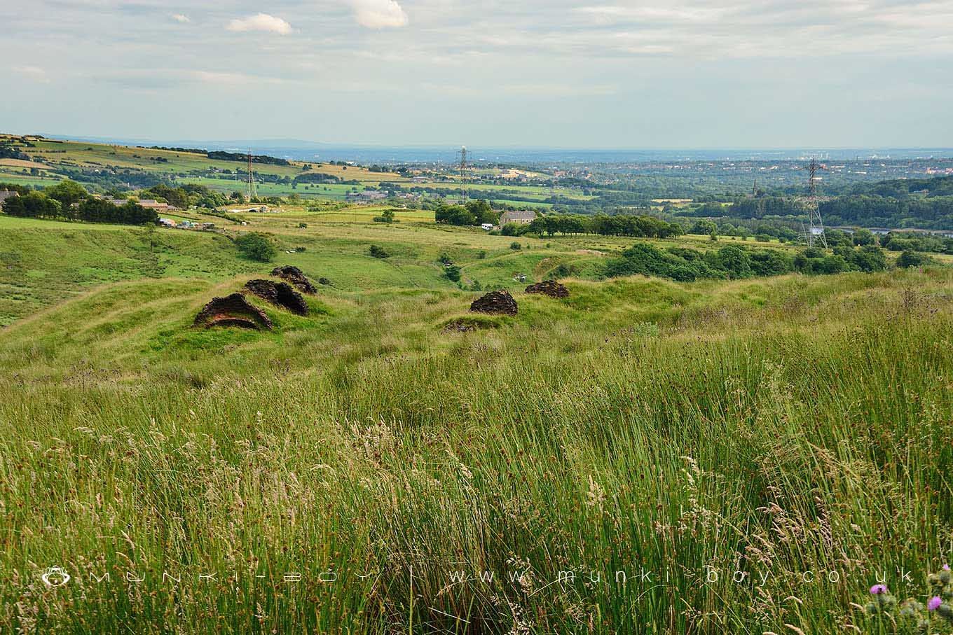 Beehive Coke Ovens on The Naze