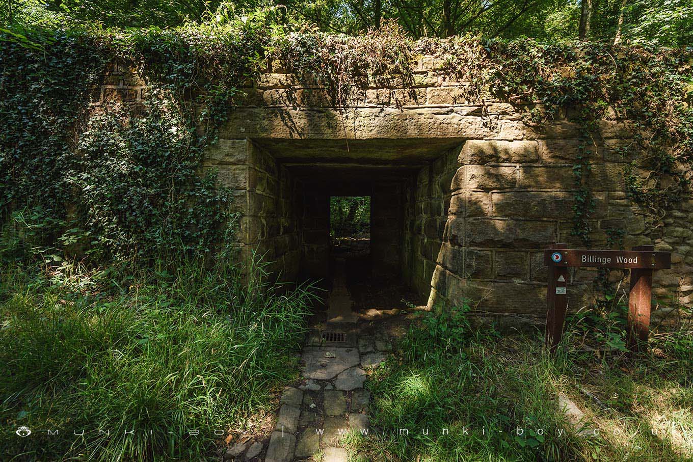 Billinge Wood