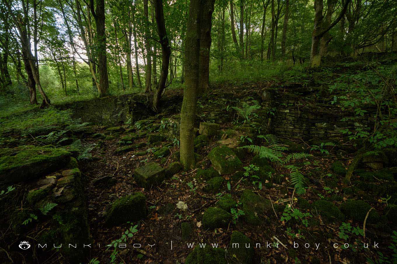 Blackhurst (ruin)