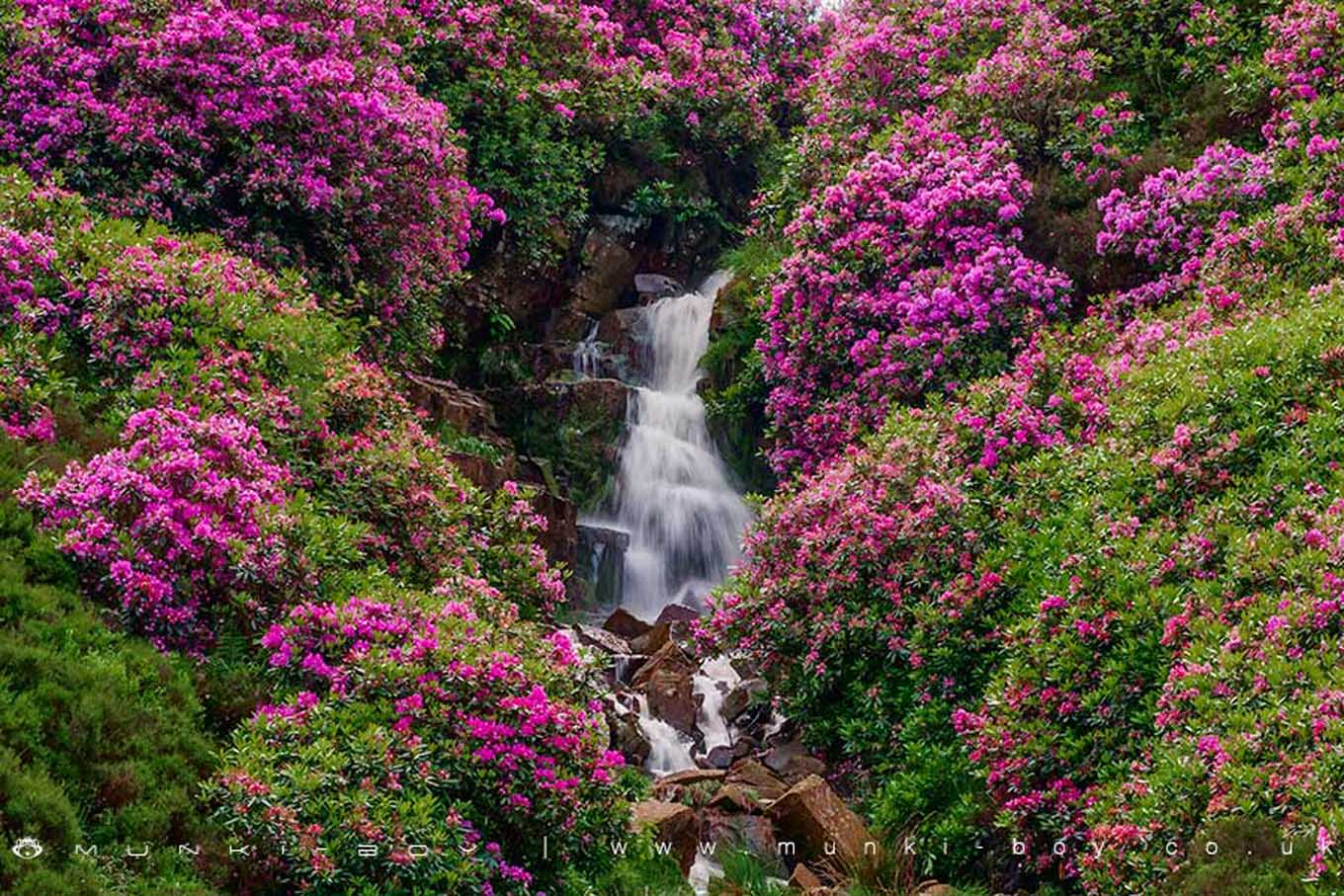 The Blue Lagoon Waterfall