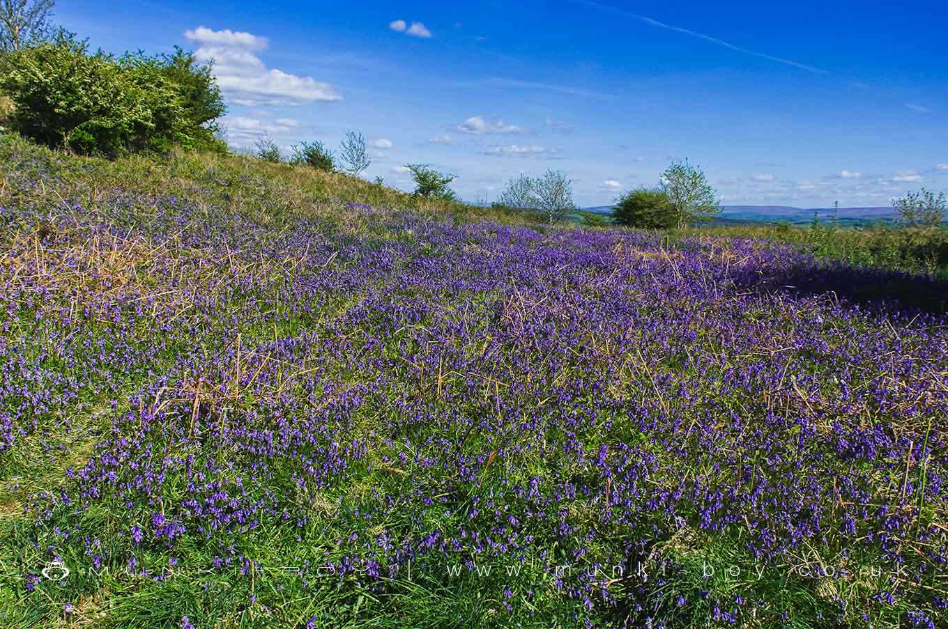 Warton Crag