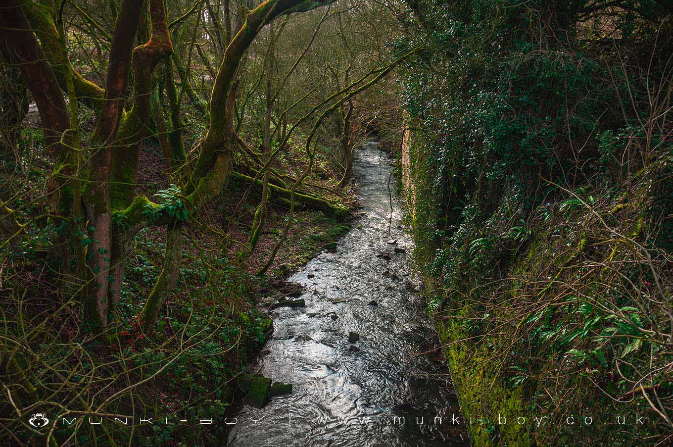 Borsdane Brook