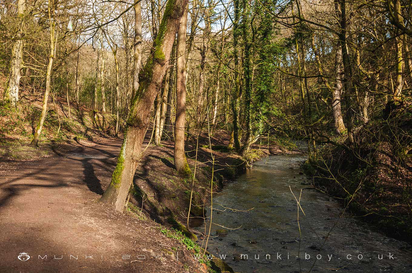 Borsdane Wood