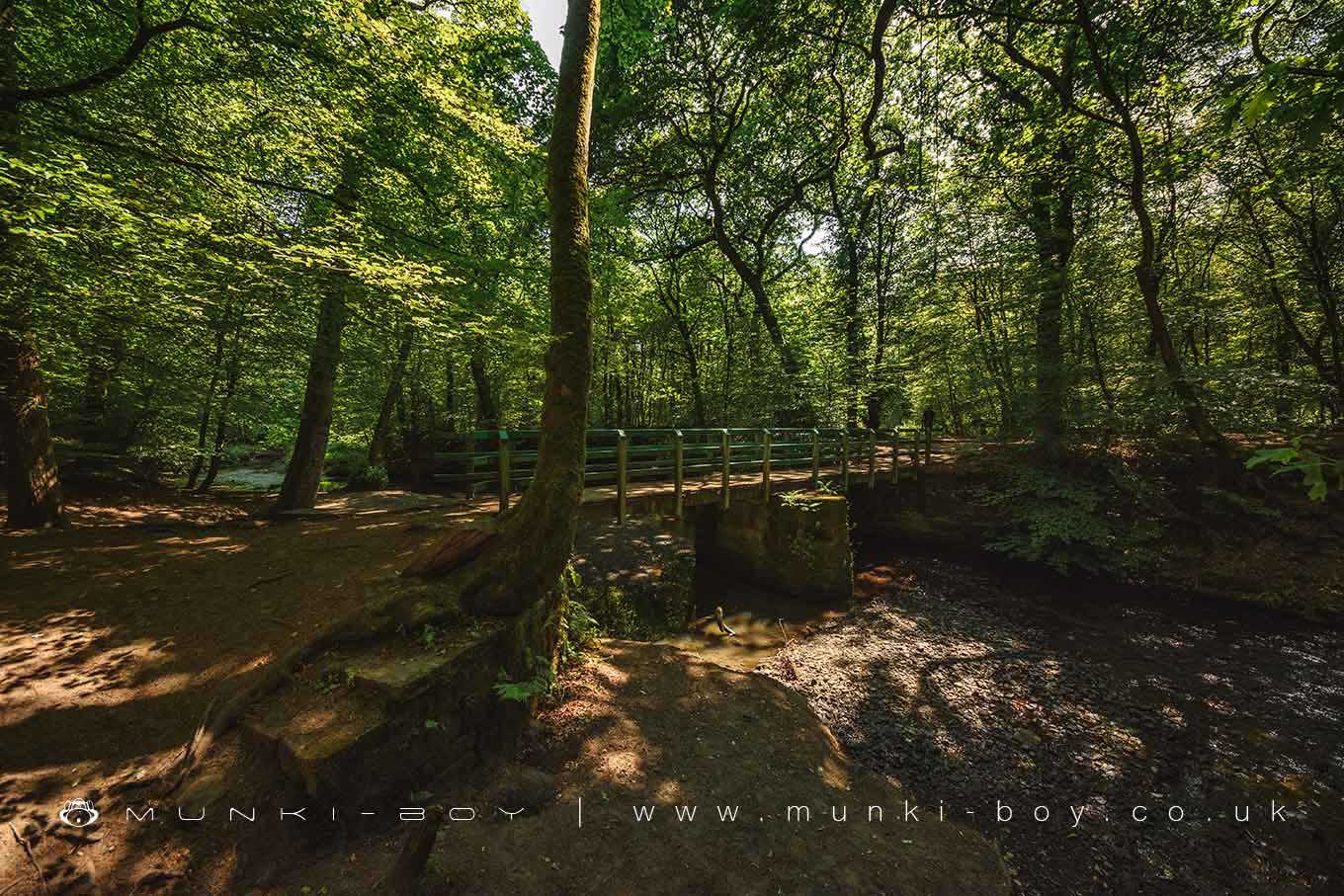 Bridge Over the Yarrow from Duxbury Park to Big Wood
