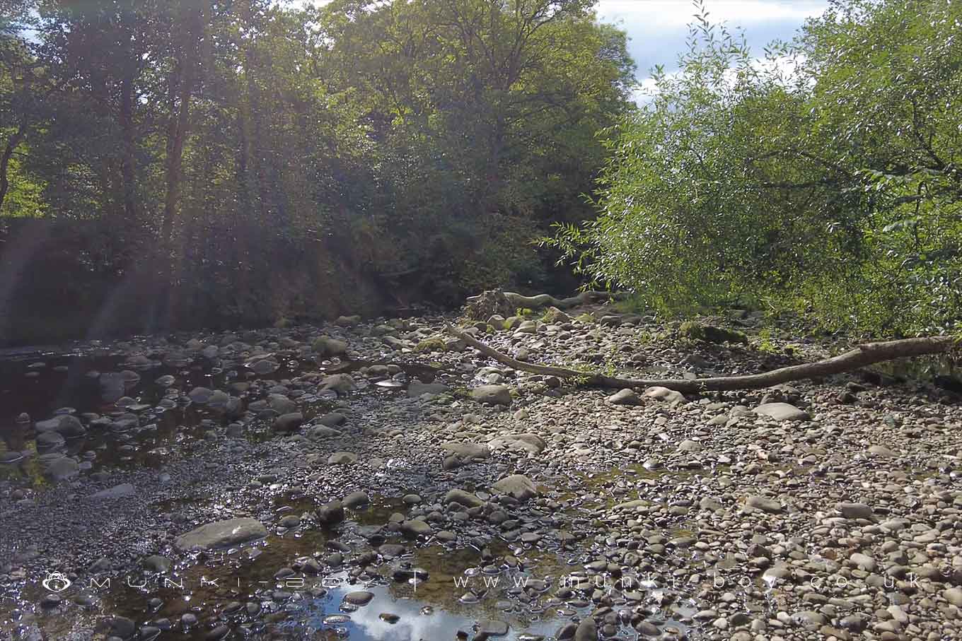 Brock Bottom