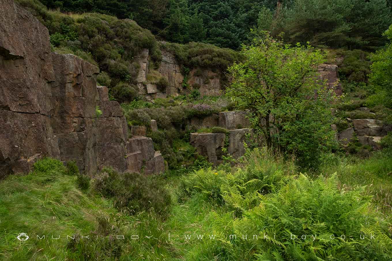 Brownfields Quarry