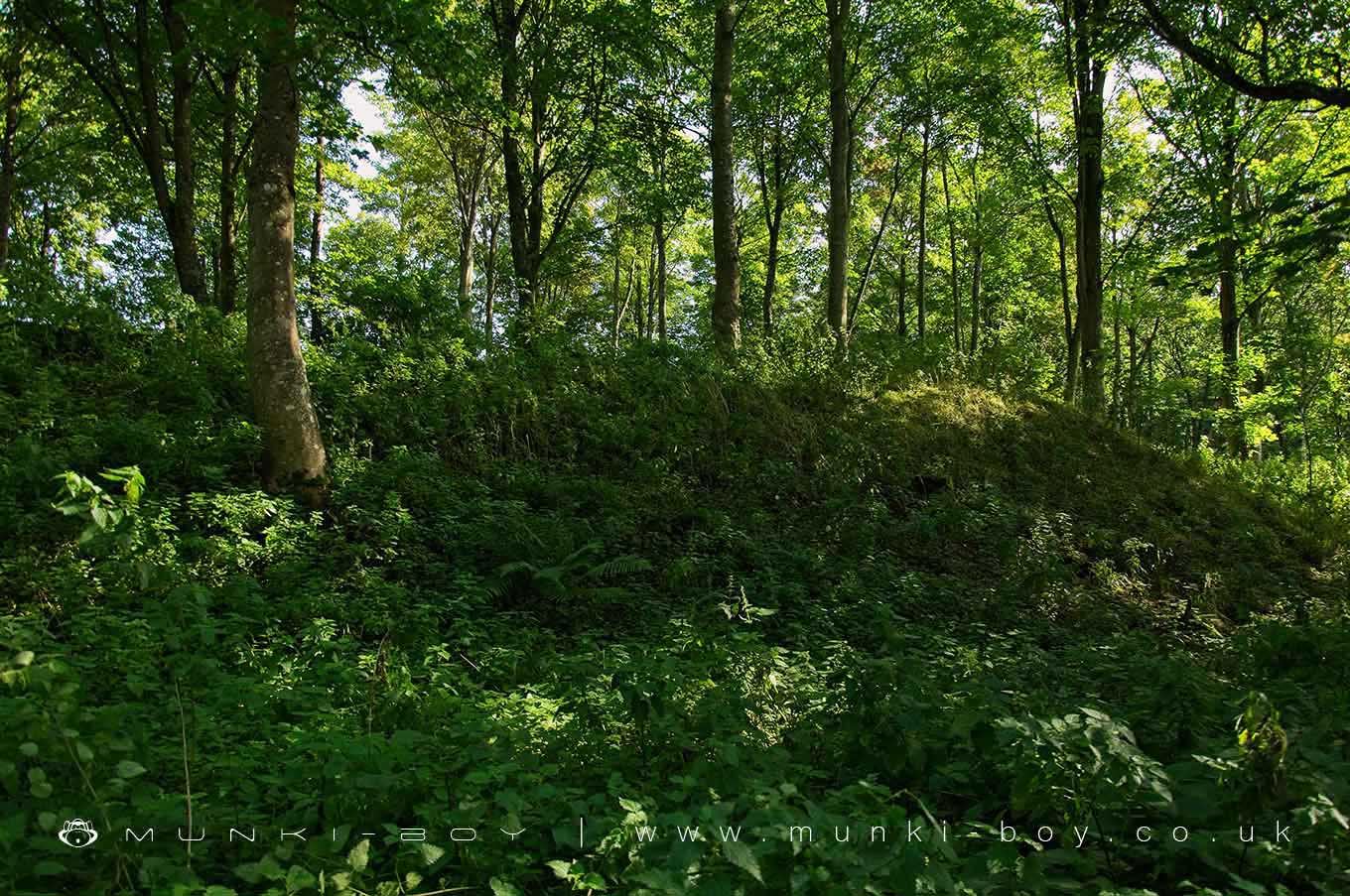 Castlesteads (Prehistoric Enclosure)