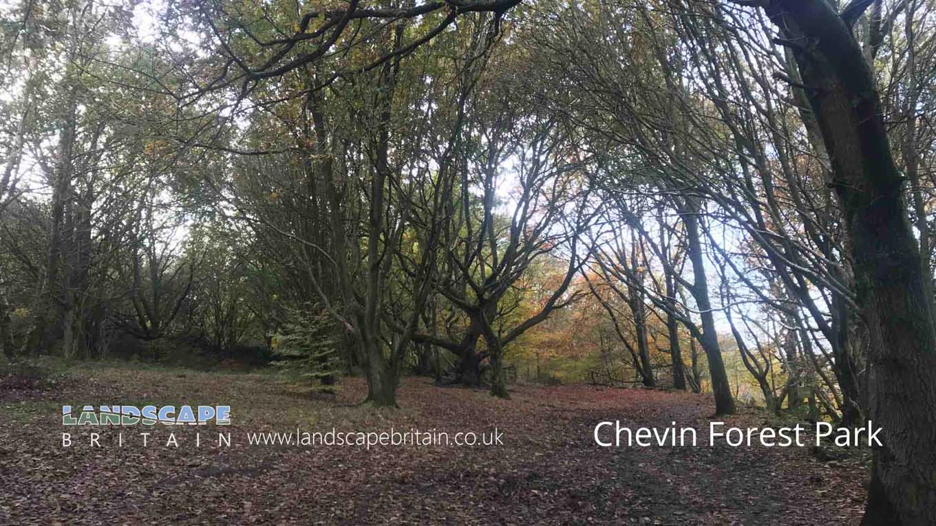 Chevin Forest Park