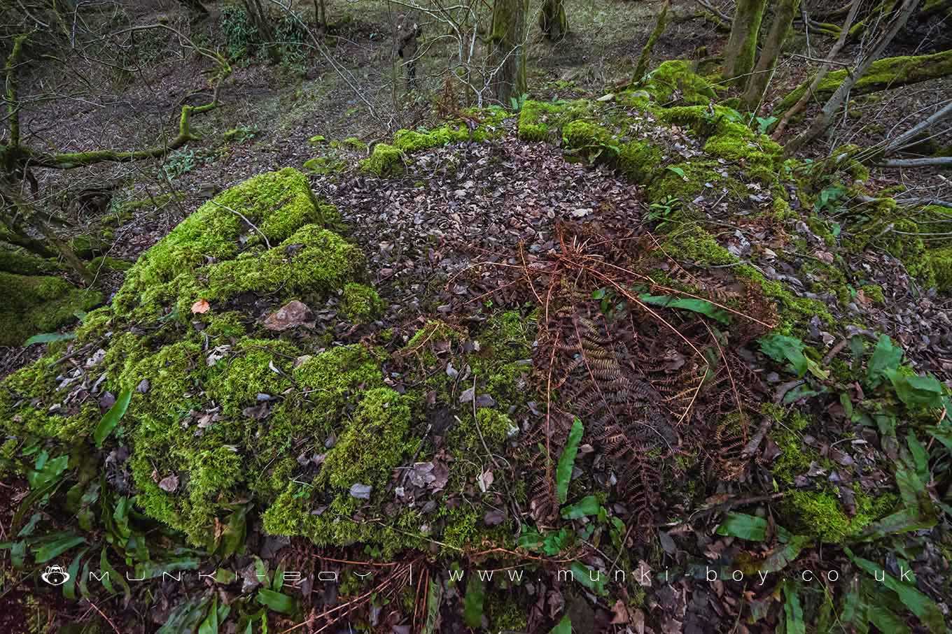 Remains of Old Chimney at Dean Mills

