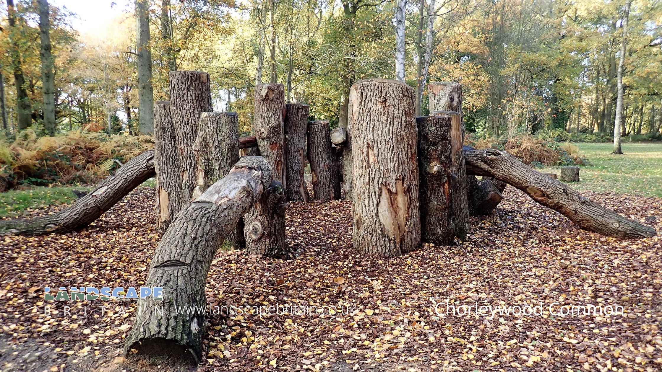 Chorleywood Common