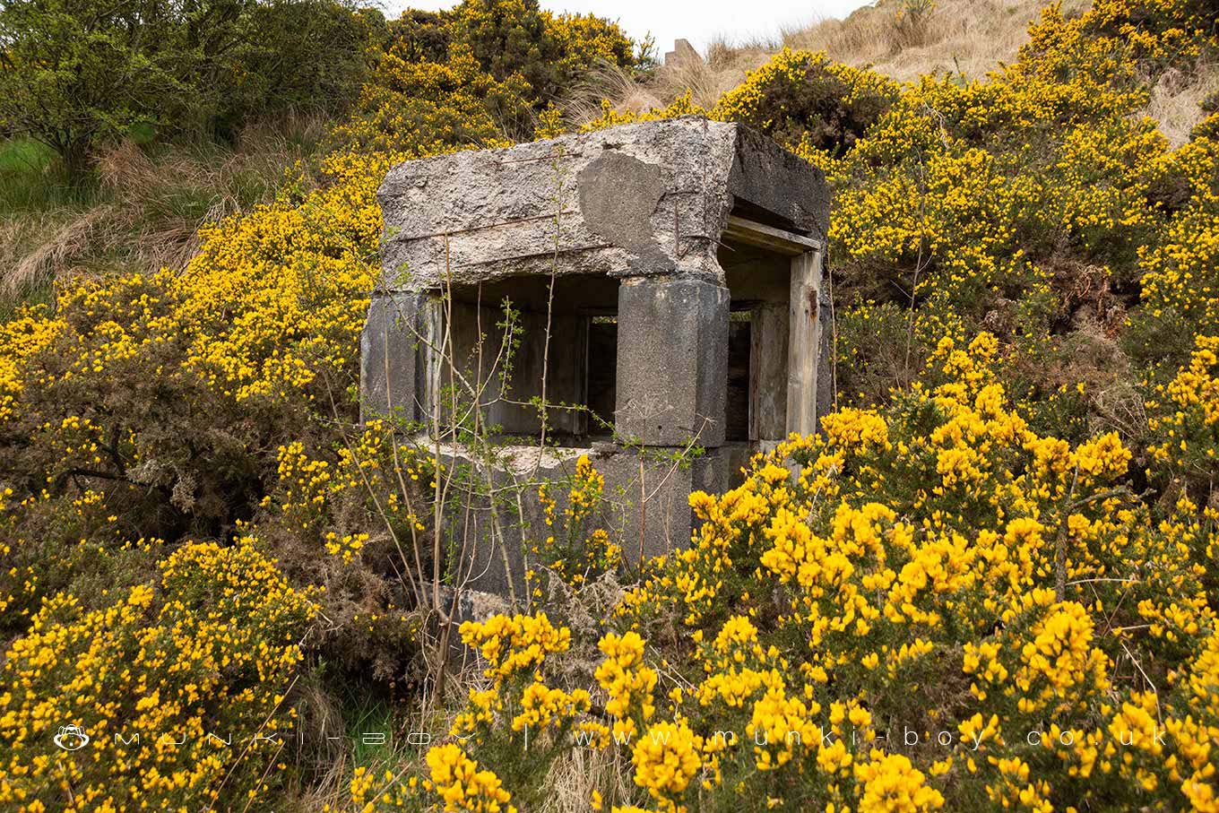 Ruined Concrete 'hut' at Owshaw Clough