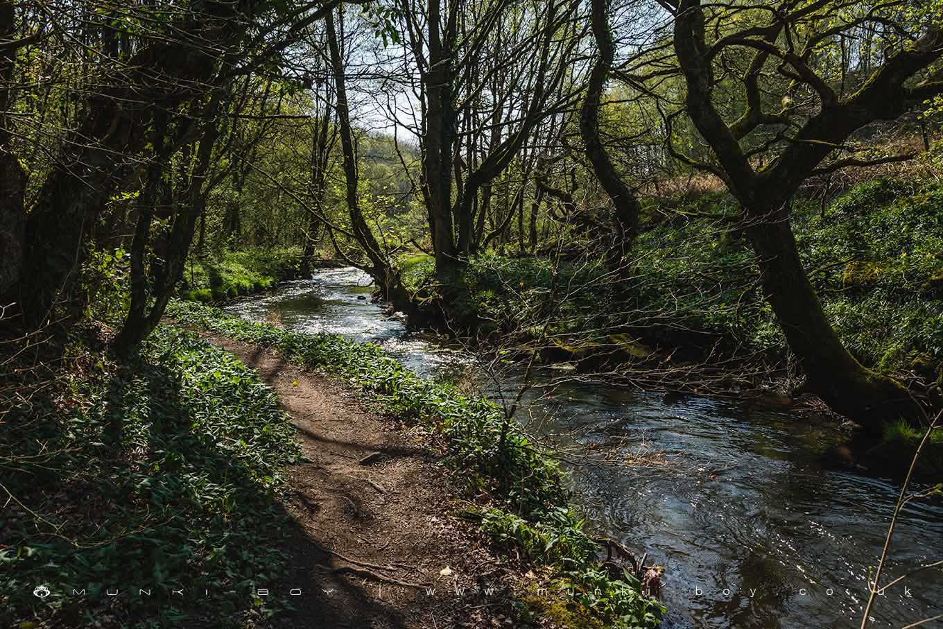 Croshaw Wood