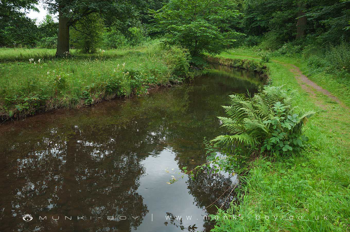 Crowdundle Beck