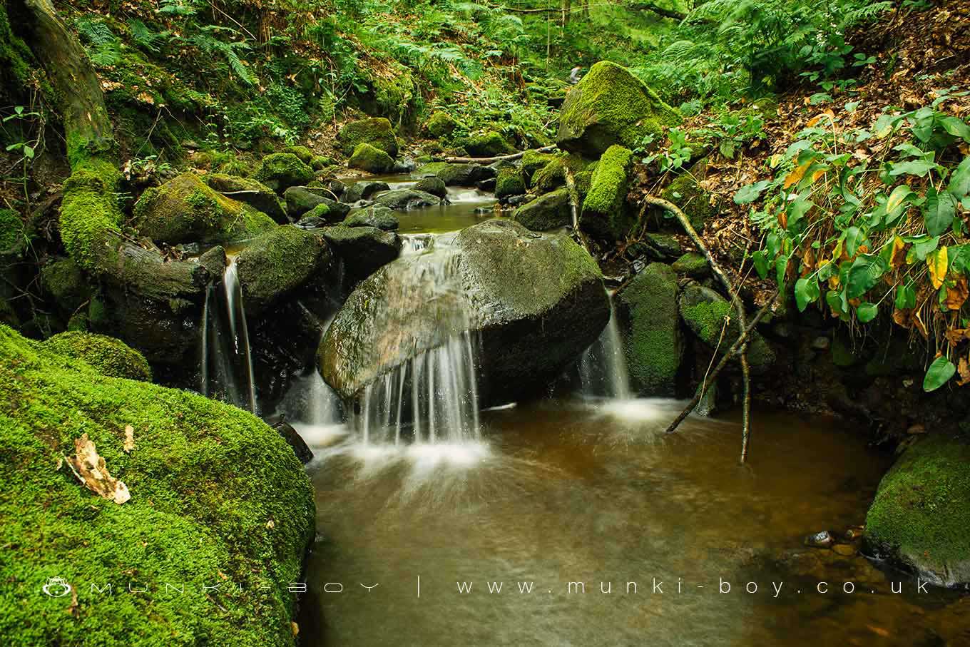 Dakin’s Brook