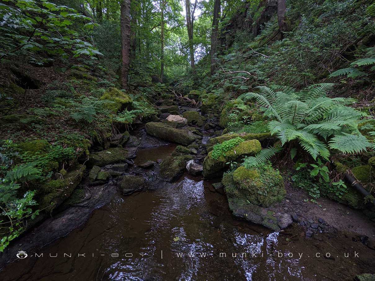 Dean Brook – Rivington