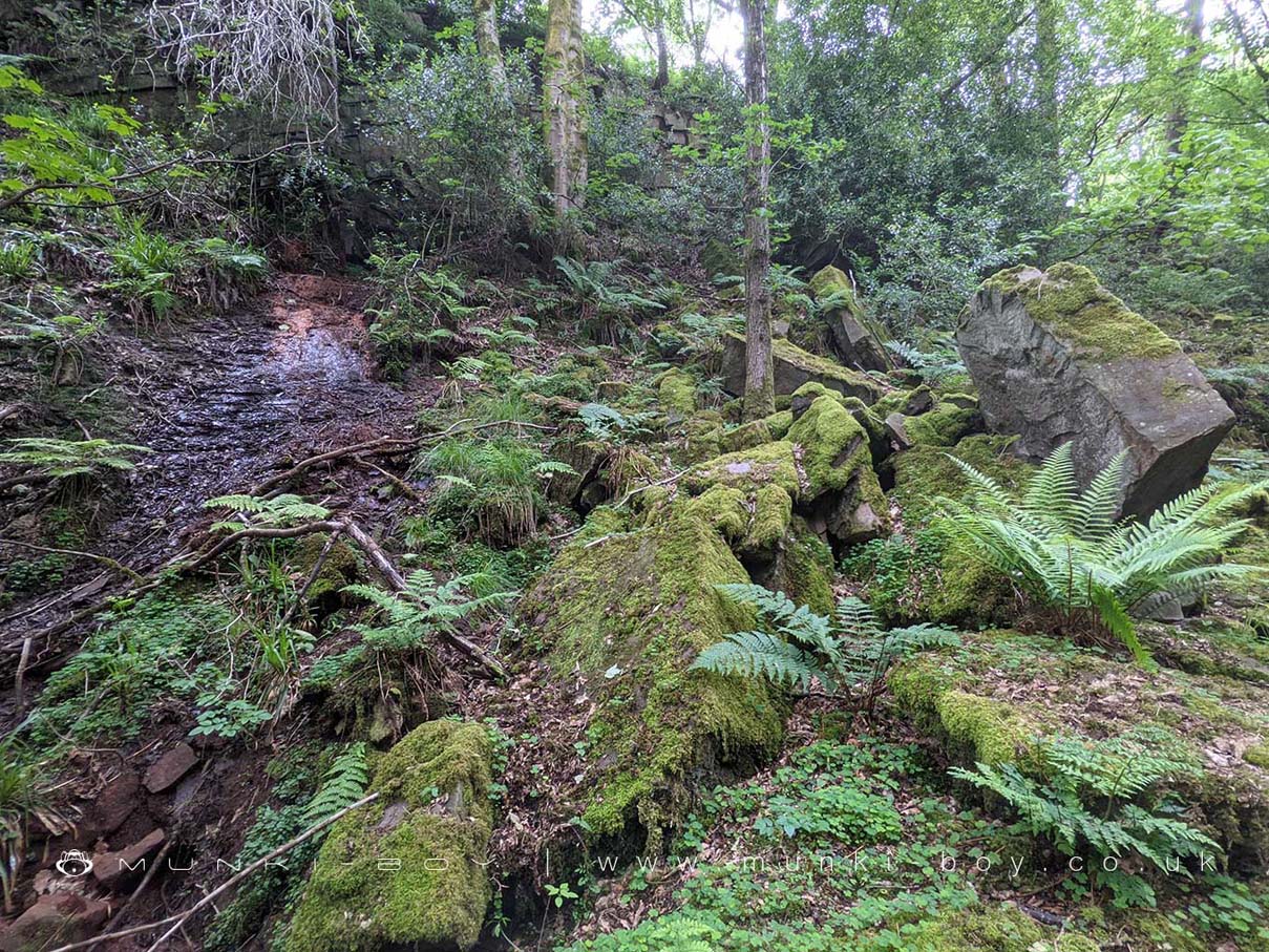 Dean Wood – Rivington