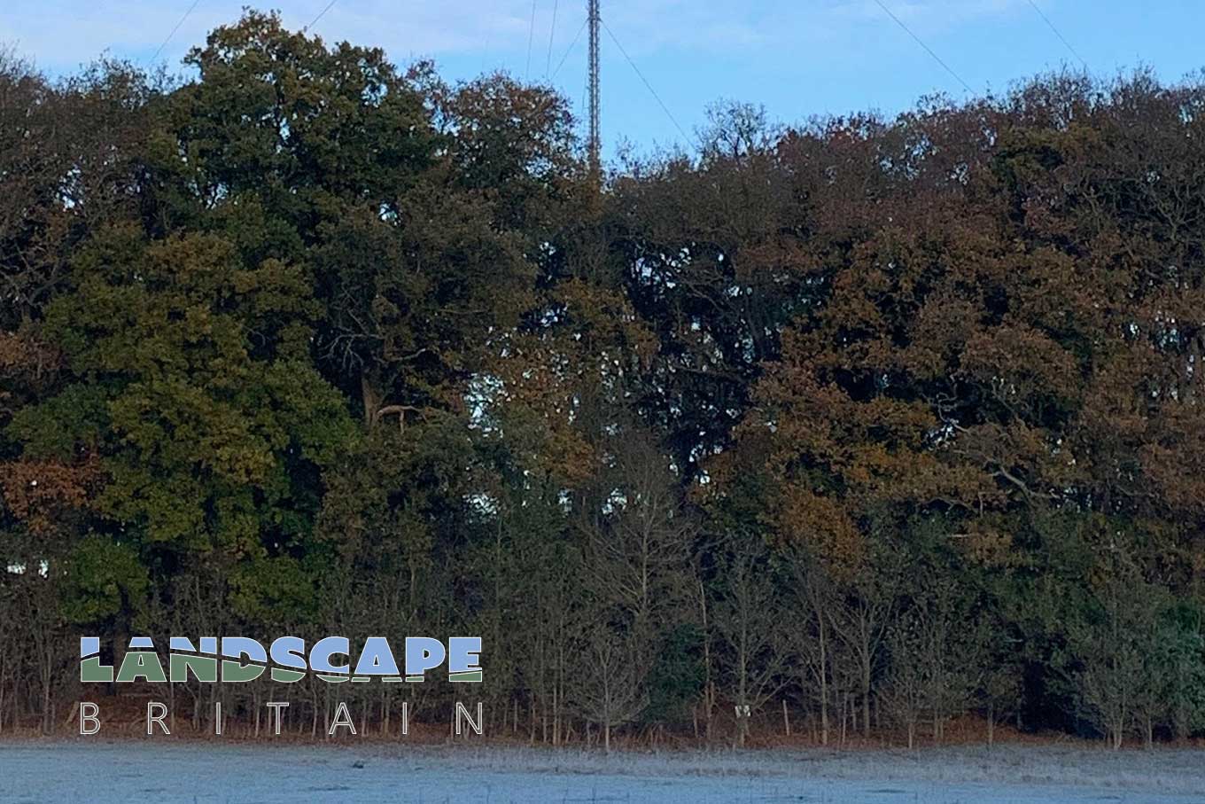 The Everton Estate