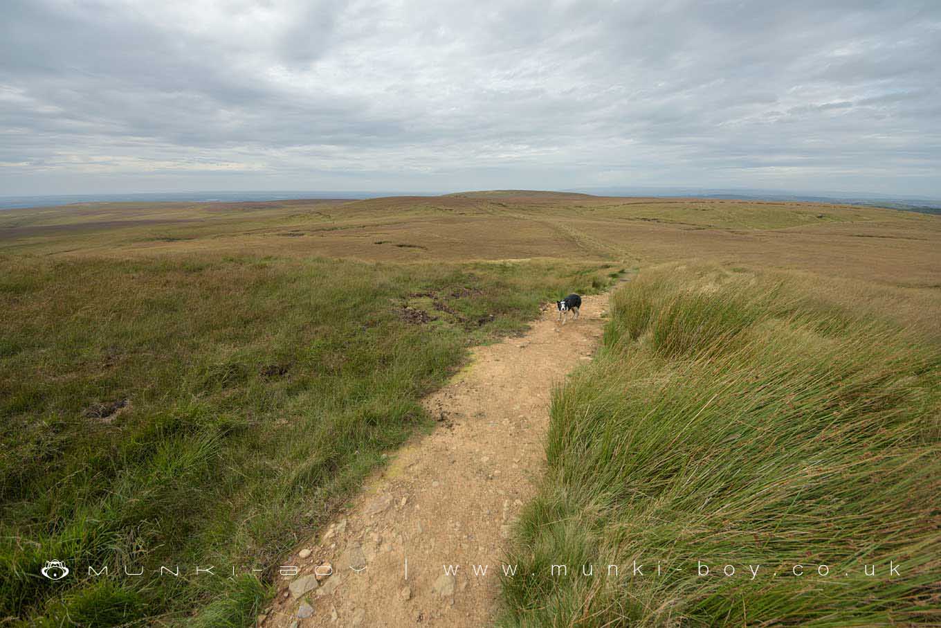 Spitlers Edge