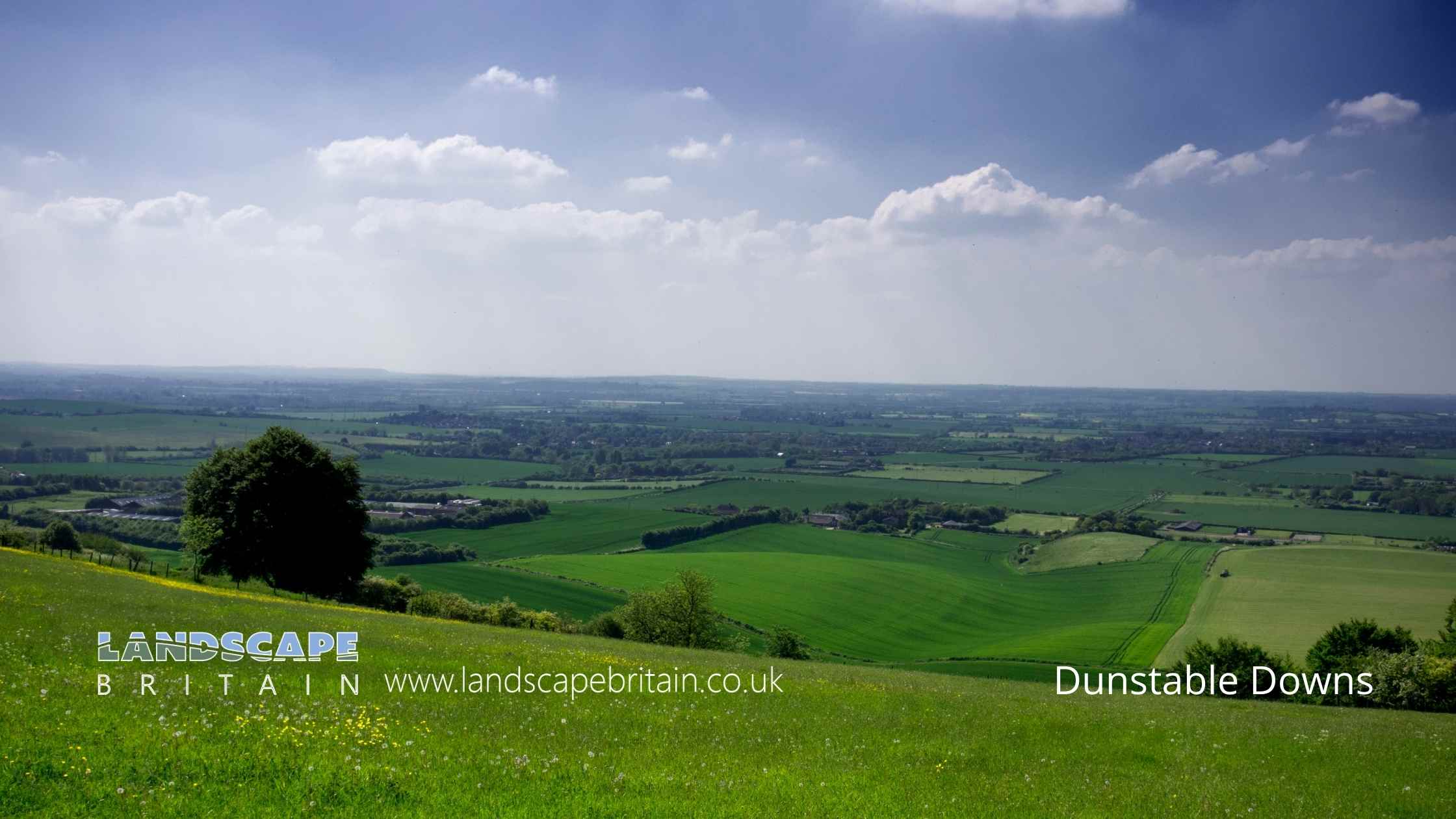 Dunstable Downs and Whipsnade Estate