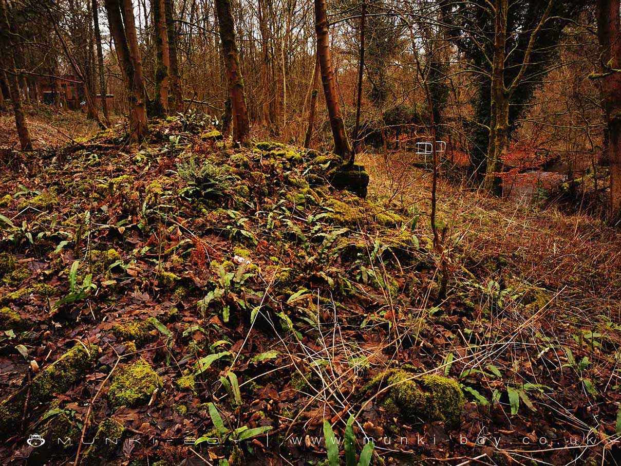 Duxbury Mill Farm Ruins
