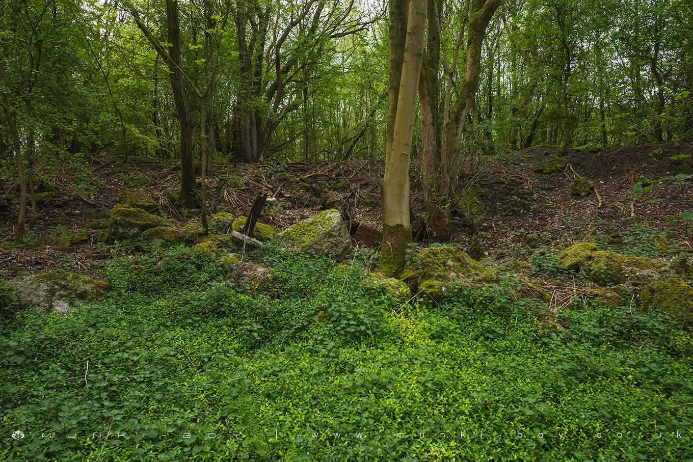 Duxbury Park Colliery (ruin)