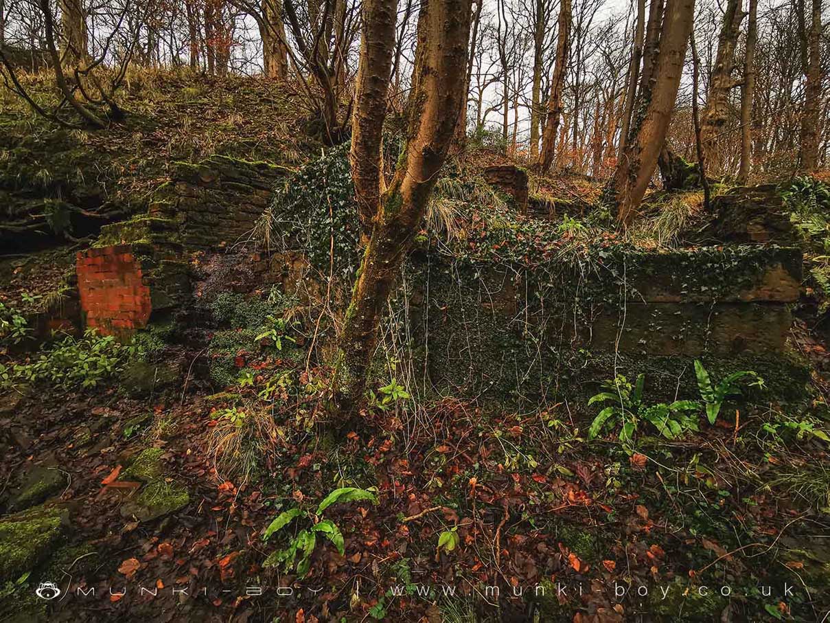 Duxbury Corn Mill (ruin)