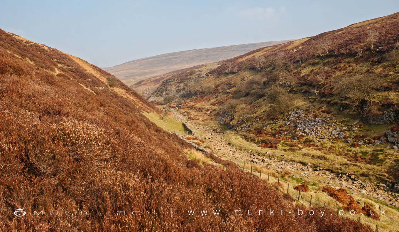 Ease Gill
