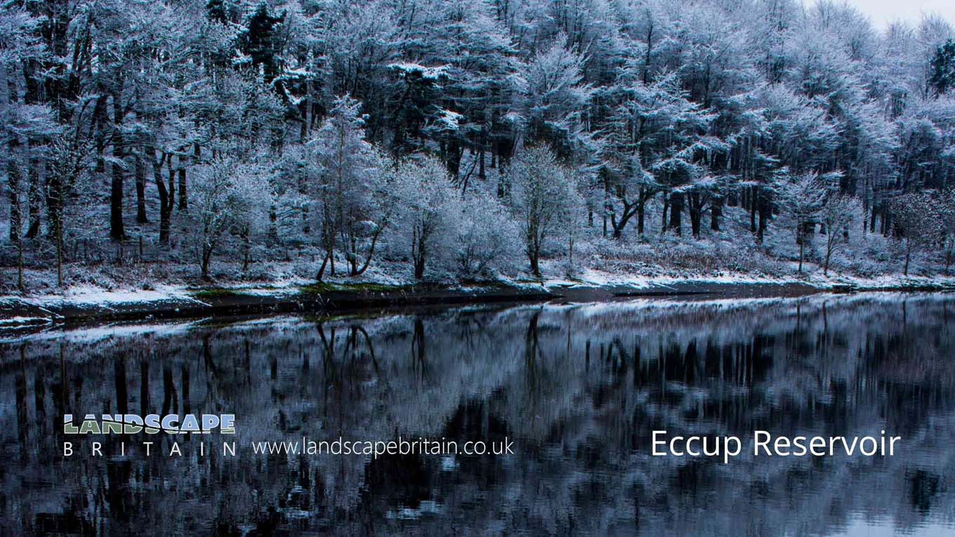 Eccup Reservoir
