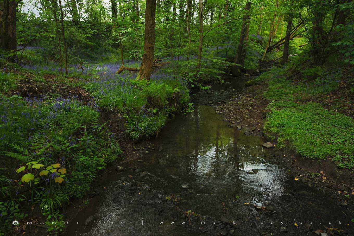 Eller Brook