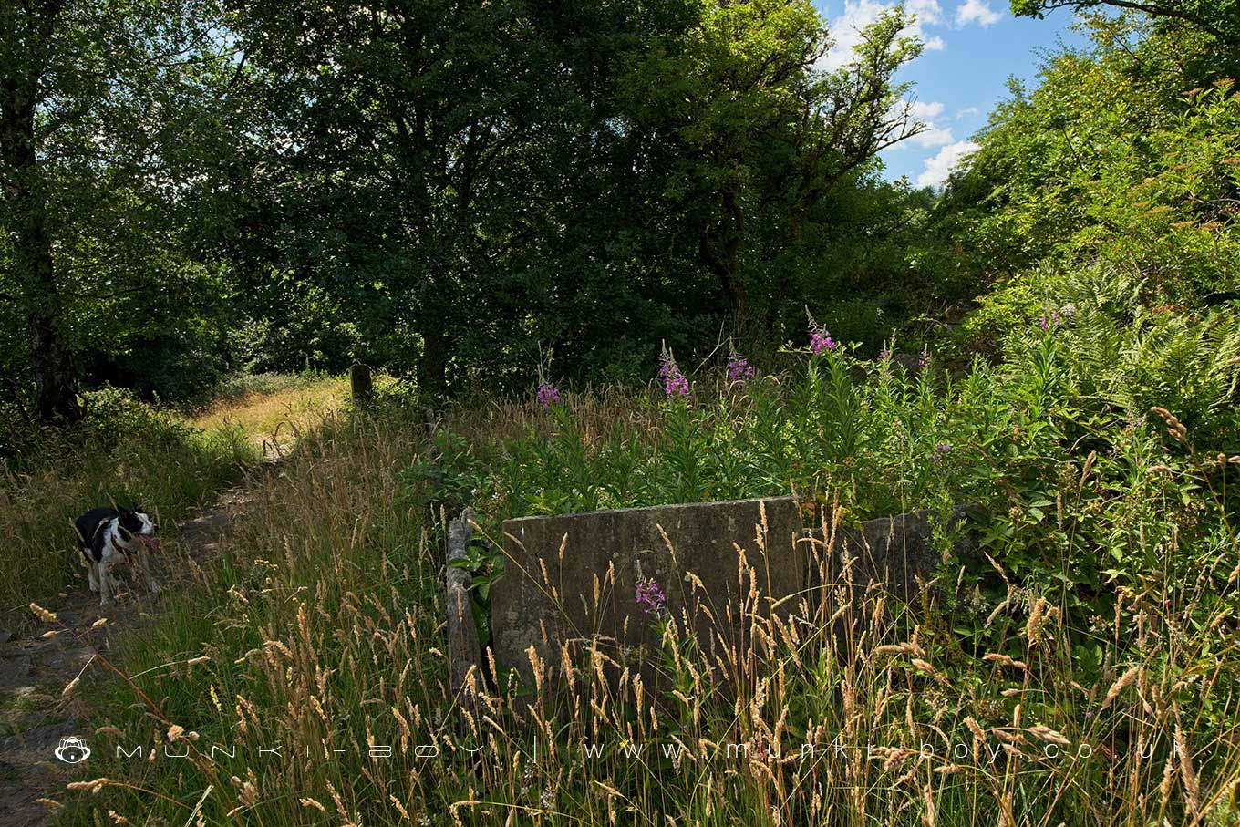 Lower Ridge (ruin)