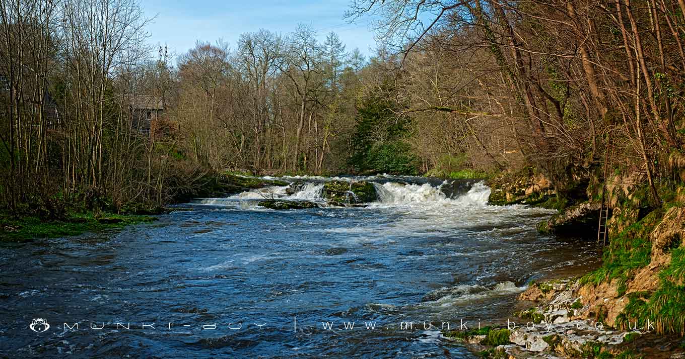 Levens Force
