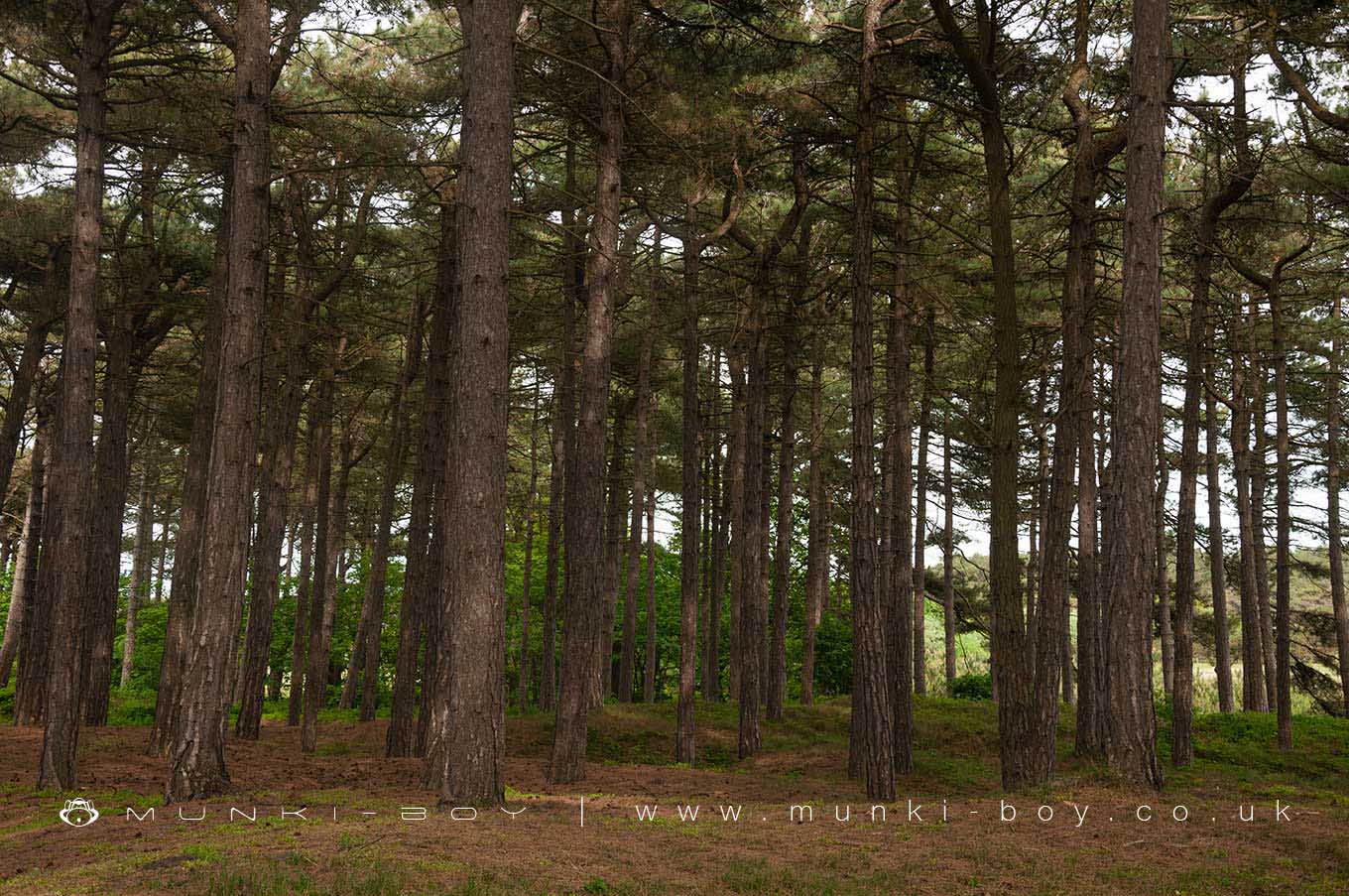 Formby Nature Reserve