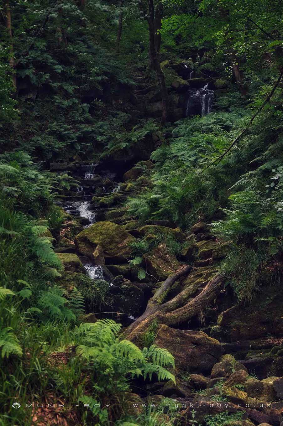 Greenwood Lee Clough Waterfall