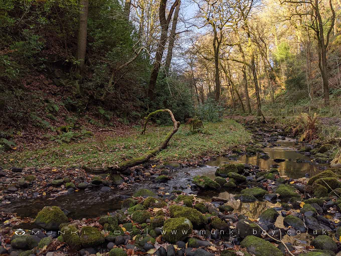 Grizedale Brook