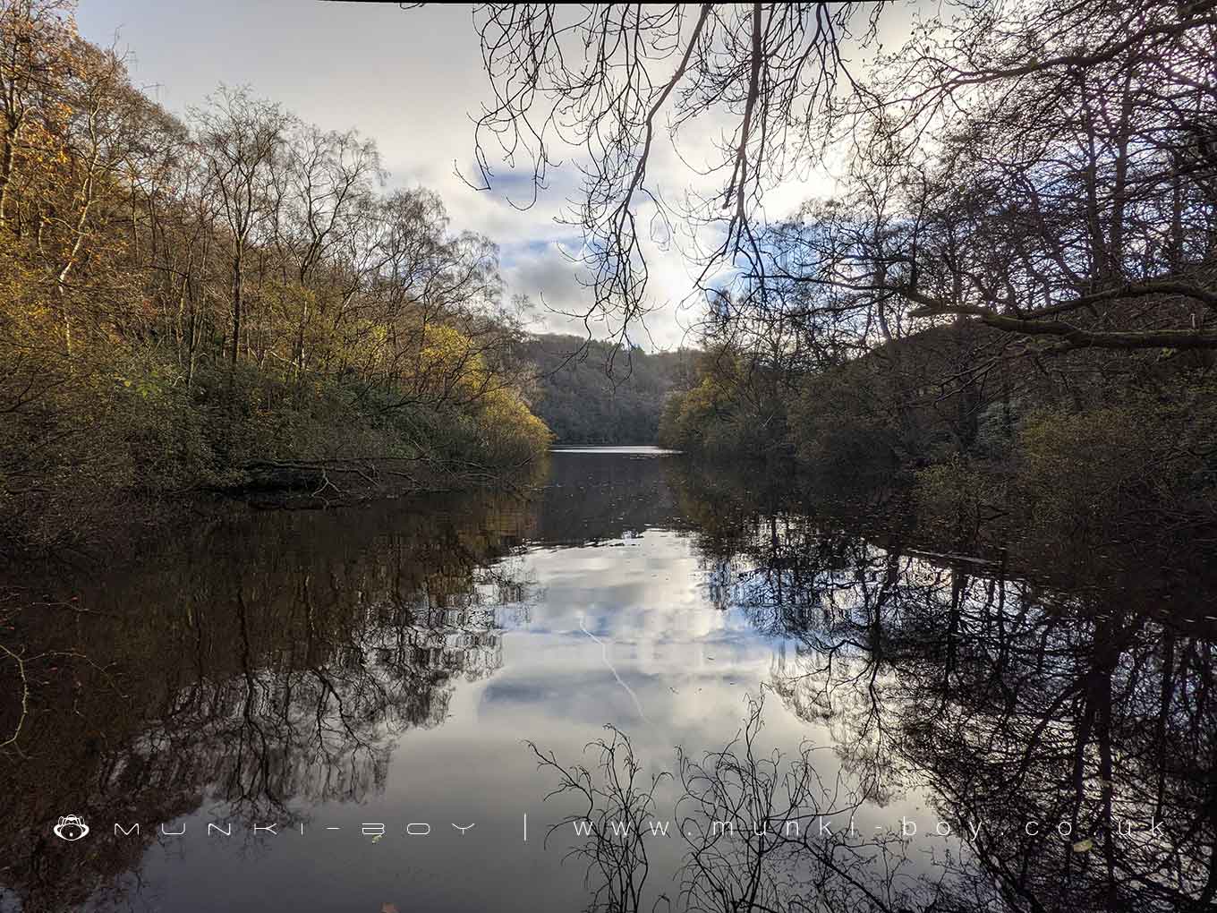 Grizedale Dock Reservoir
