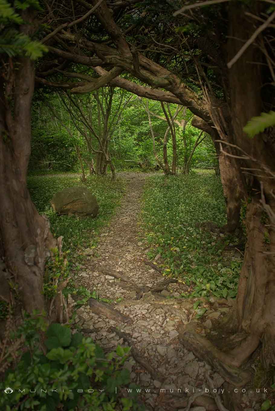 Grubbins Wood