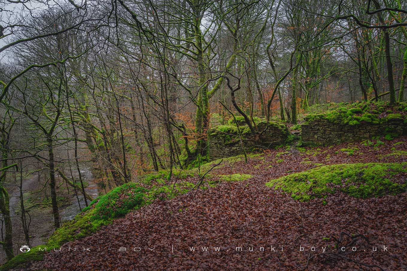 Halliwell Fold (ruin)