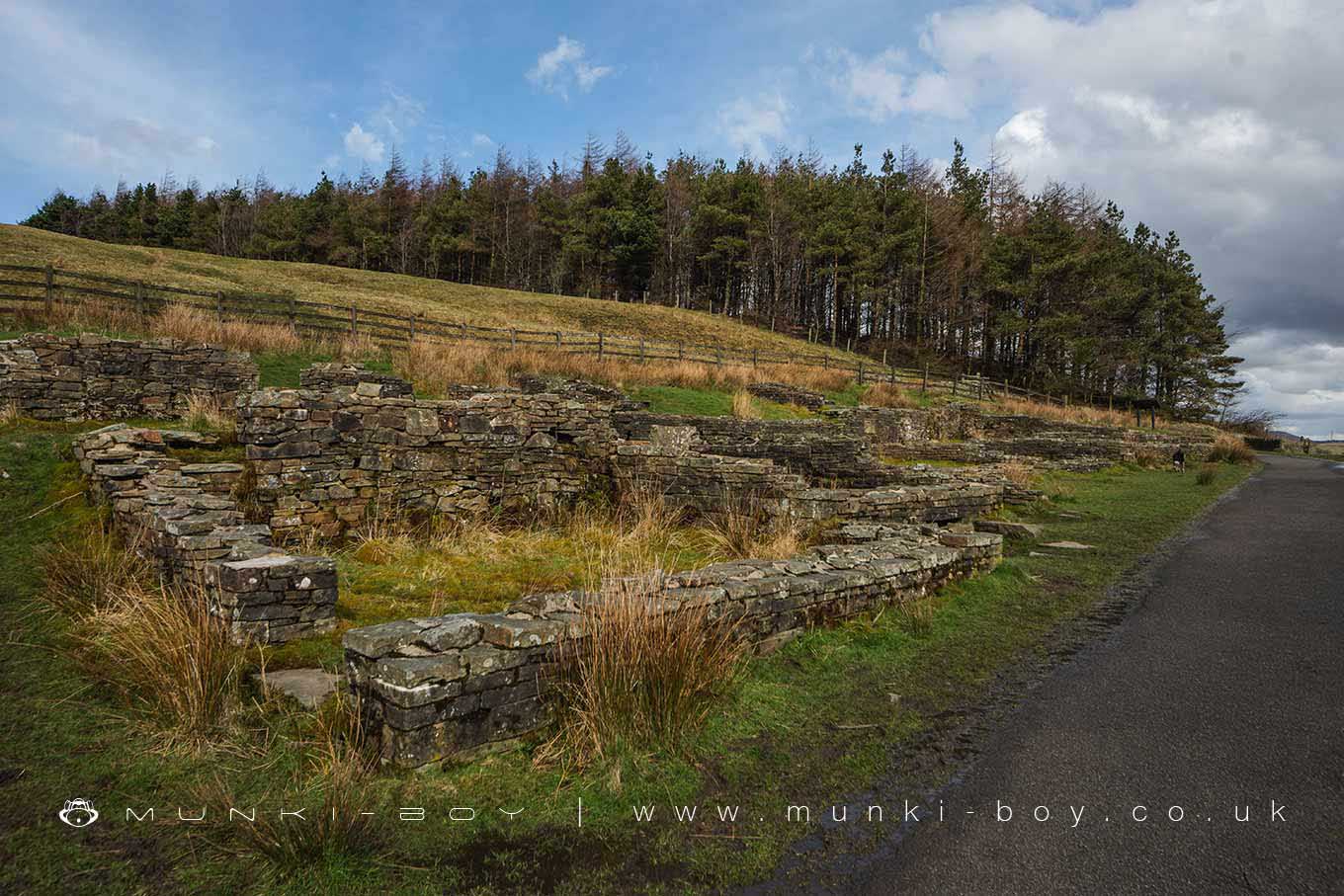 Hartley House (ruin)