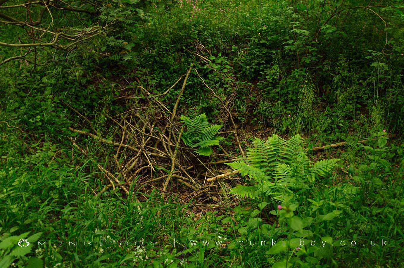 Hartshill Diorite Pits