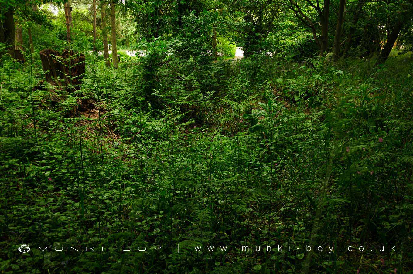 Hartshill Tumulus