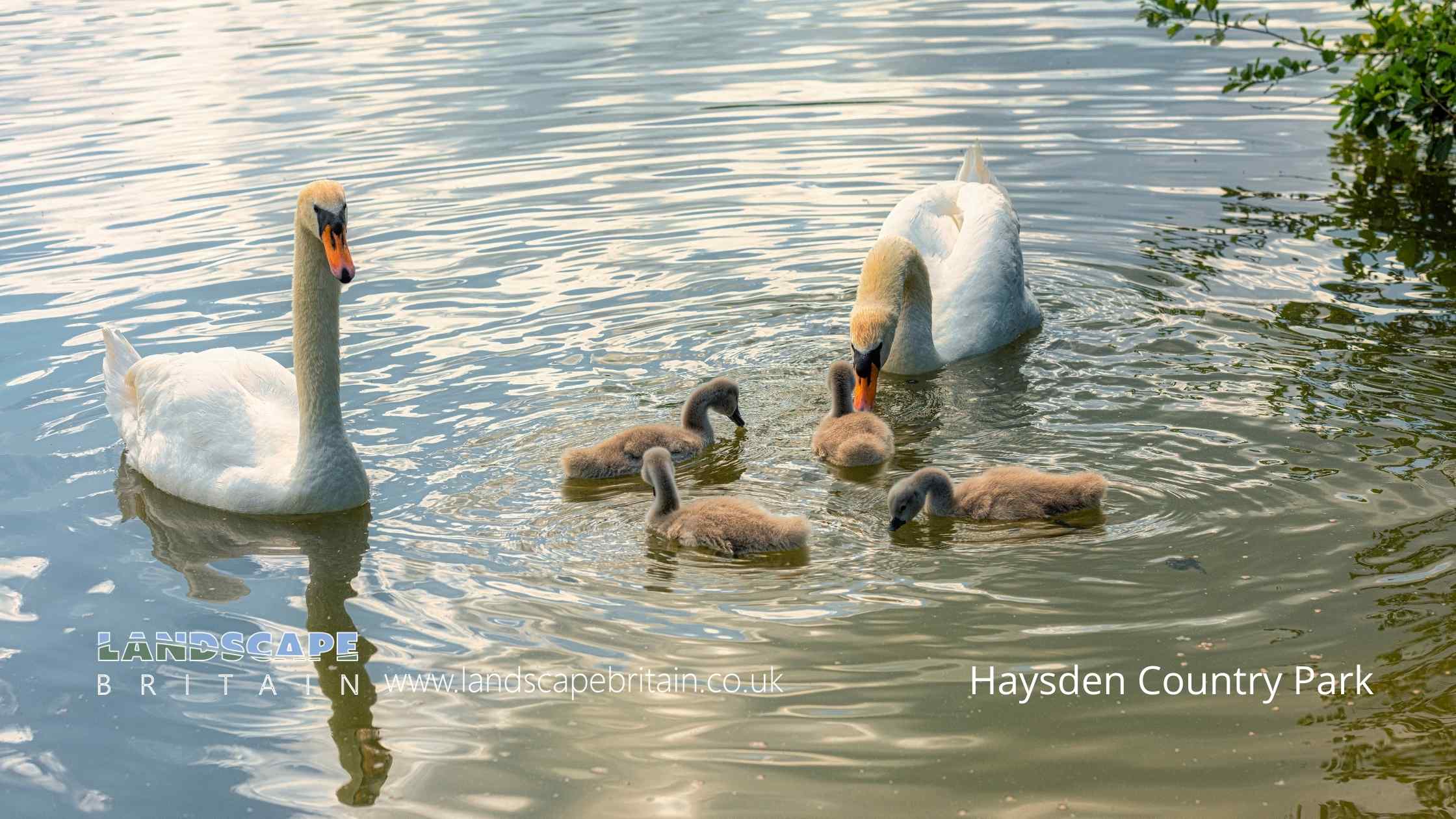 Haysden Country Park