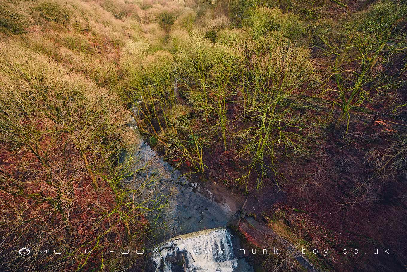 Healey Dell
