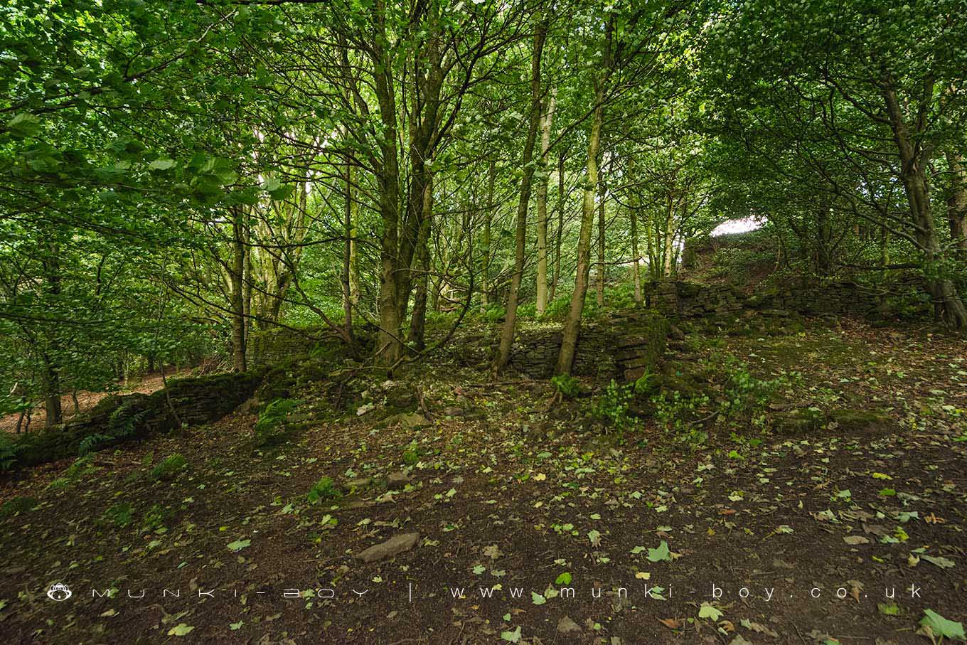 Higher Garstangs (ruin)
