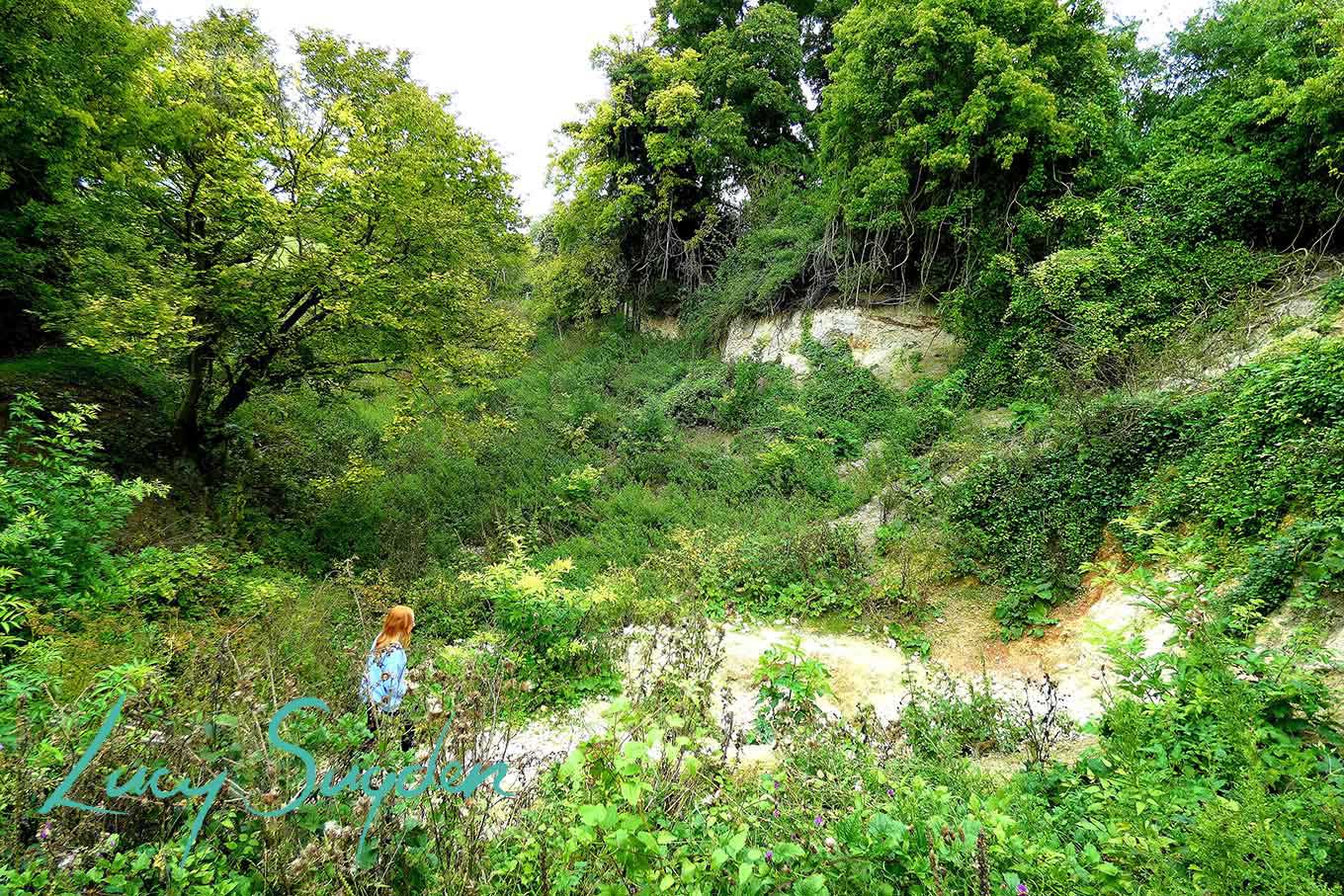 Hill End Chalk Pit