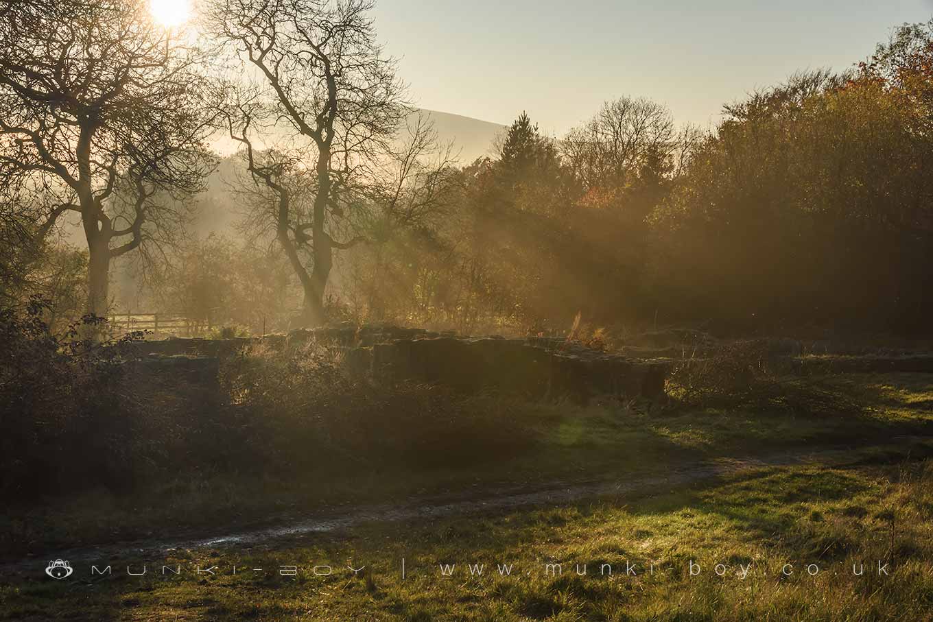 Hollinshead Hall (ruin)